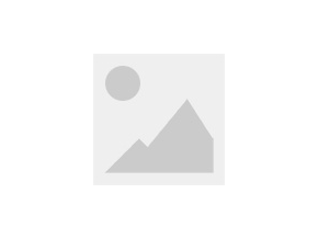 社會(huì)責(zé)任報(bào)告(蓋章后轉(zhuǎn)為PDF公示）